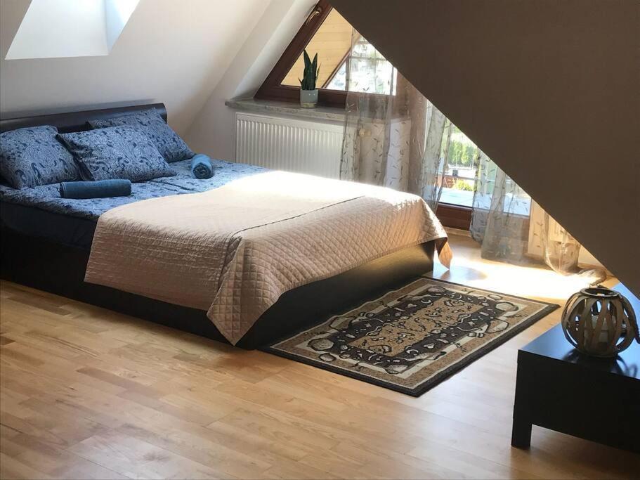 Bystra Woda Apartament / Malaszynskiego Zakopane Extérieur photo